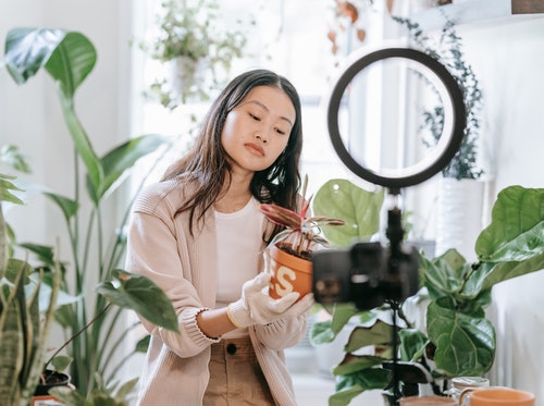 Creator Fund Watch List, from Tiktok to Roblox to OnlyFans